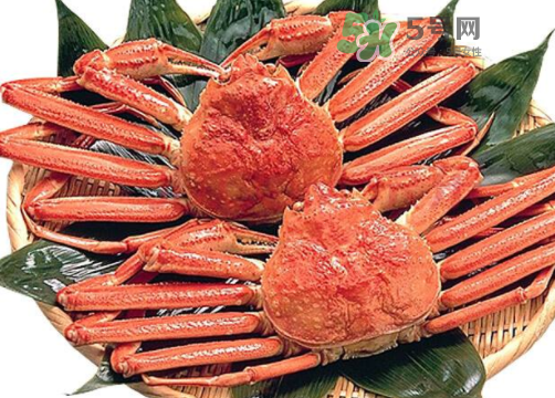 雪蟹多少錢一斤？雪蟹多少錢一只？