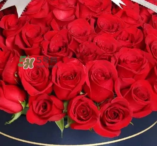 野獸派2017七夕禮盒有哪些？野獸派2017七夕禮盒價(jià)格