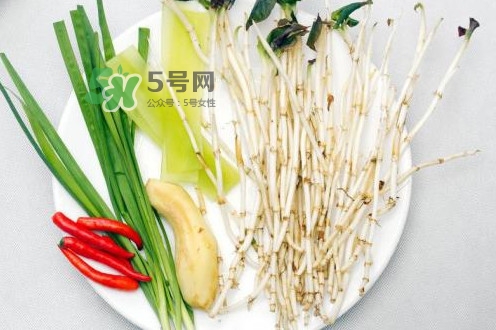 魚腥草用開水泡可以嗎？魚腥草用量多少克？