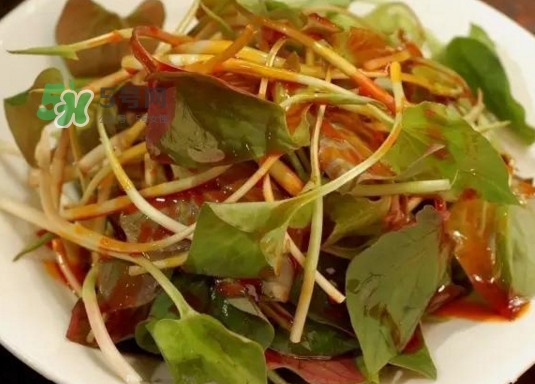 魚(yú)腥草多少錢(qián)一斤？干的魚(yú)腥草多少錢(qián)一斤