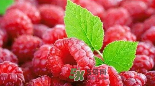 pola莓果酵素怎么吃？pola紅莓酵素怎么樣？