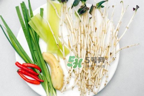 魚(yú)腥草什么季節(jié)有？魚(yú)腥草什么時(shí)候采摘最好