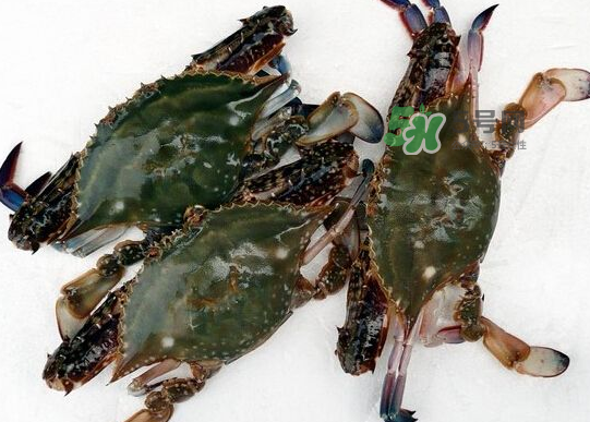 青島梭子蟹多少錢一斤？青島梭子蟹什么時候上市？