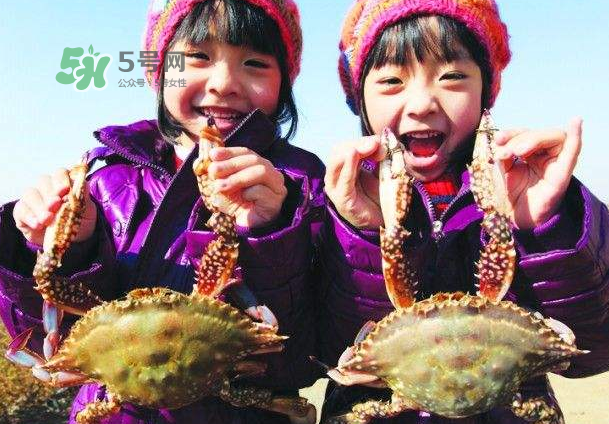 青島梭子蟹多少錢一斤？青島梭子蟹什么時候上市？