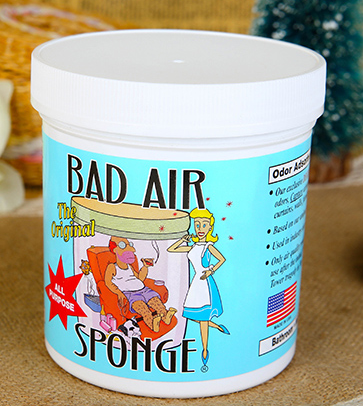 Bad Air Sponge有用嗎？Bad Air Sponge效果如何？
