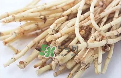 折耳根怎么清洗？折耳根如何冼才干凈