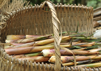 苦筍可以和排骨一起煮嗎？排骨能和苦筍一起吃嗎