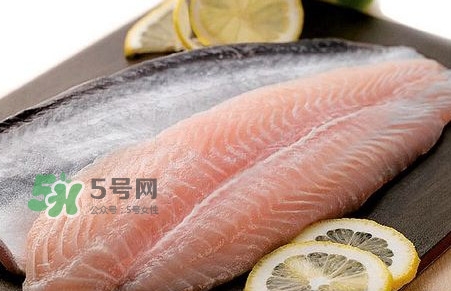 巴沙魚是鯰魚嗎？巴沙魚是海魚嗎