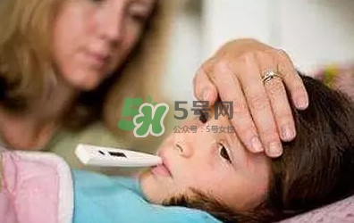 魚(yú)腥草什么季節(jié)吃最好？魚(yú)腥草什么時(shí)候吃最好