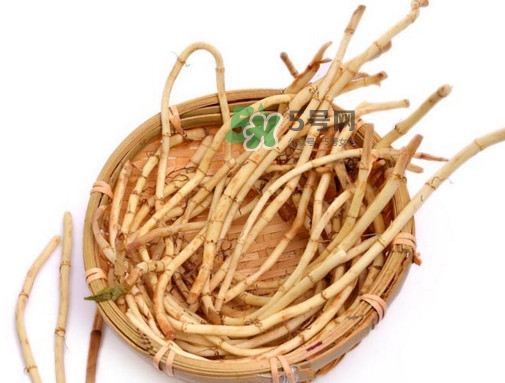 折耳根有毒嗎？折耳根有毒吃了會(huì)傷腎？