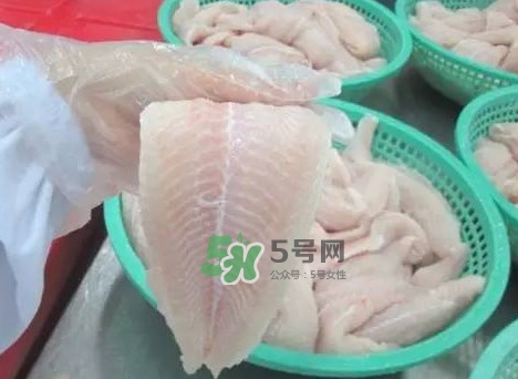 巴沙魚有刺嗎？巴沙魚有寄生蟲嗎