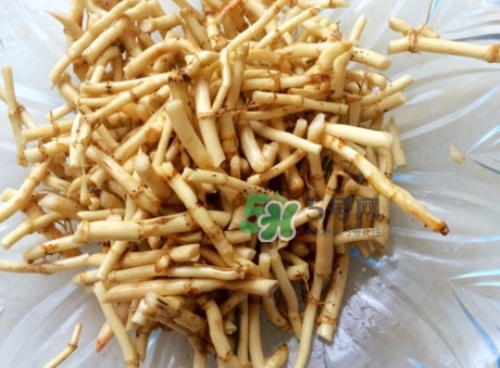 魚腥草可以和蜂蜜一起喝嗎？蜂蜜能和魚腥草一起泡嗎