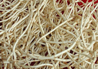 新鮮的折耳根怎么保存？折耳根能放多久