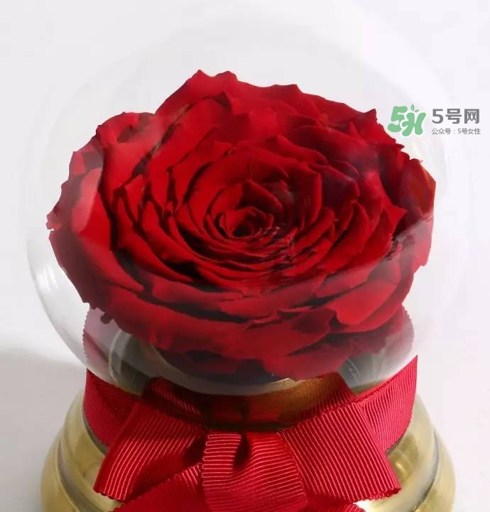 野獸派2017七夕禮盒有哪些？野獸派2017七夕禮盒價(jià)格