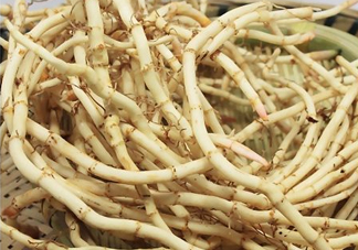 折耳根能生吃嗎？折耳根生吃還是熟吃好