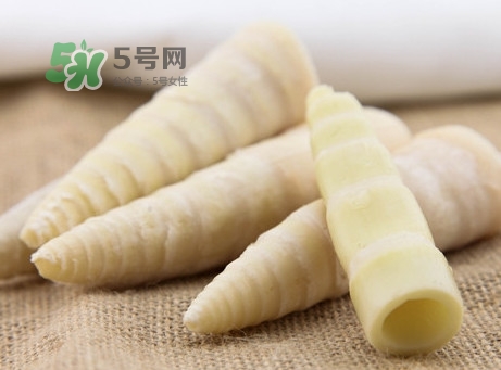 苦筍是什么竹子？苦筍是發(fā)物嗎