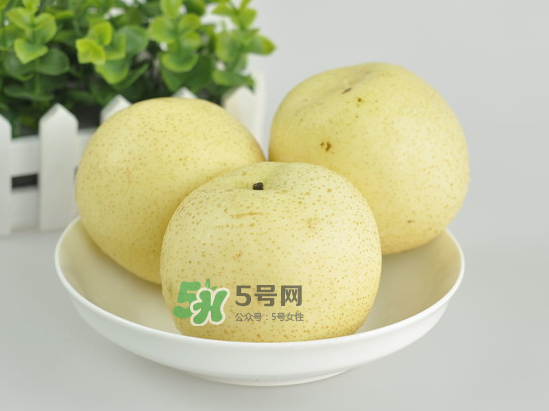 雪梨是涼性還是熱性？雪梨是寒性水果嗎？