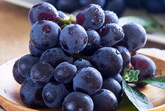 黑提子是涼性還是熱性？黑提是熱性還是涼性？