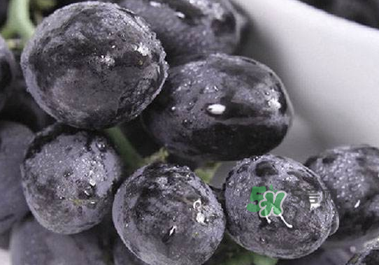 黑提子是涼性還是熱性？黑提是熱性還是涼性？