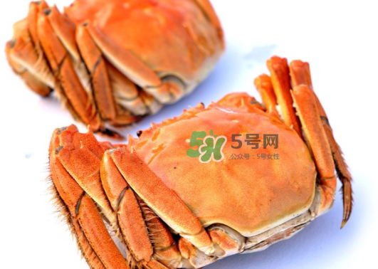 板蟹蒸多長(zhǎng)時(shí)間？板蟹蒸多久時(shí)間能熟？