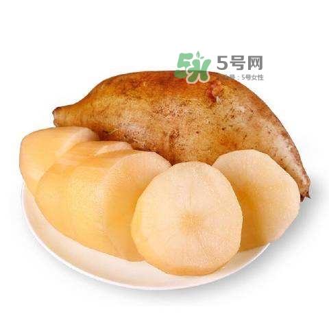 雪蓮果怎么挑？雪蓮果怎么儲(chǔ)存方法？