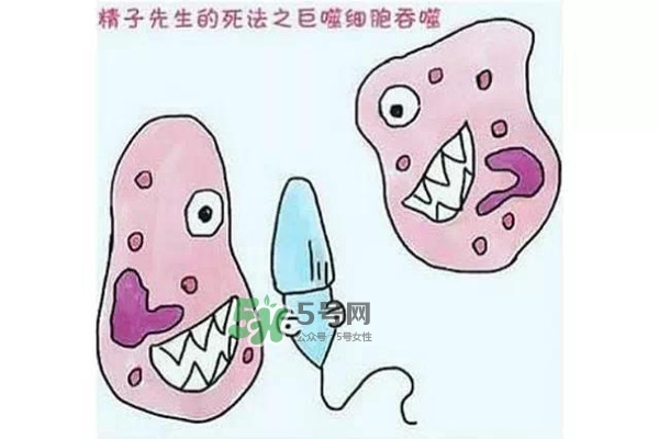 殺精的食物有哪些？吃什么東西殺精？