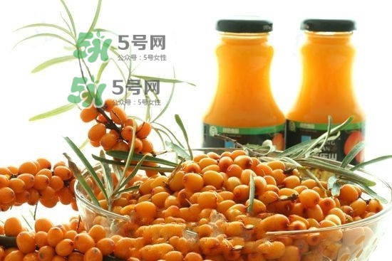 沙棘是什么？沙棘的功效與作用