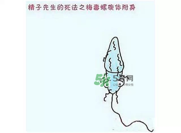 殺精的食物有哪些？吃什么東西殺精？