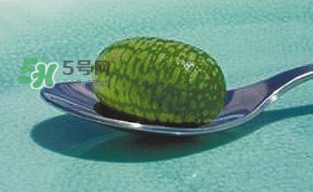 拇指西瓜口感如何？拇指西瓜什么味道？