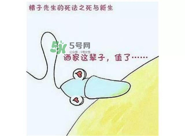 殺精的食物有哪些？吃什么東西殺精？