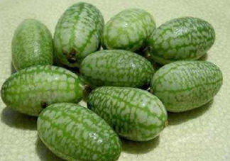 世界上最小西瓜是拇指西瓜嗎？世界上最小西瓜帶皮吃嗎