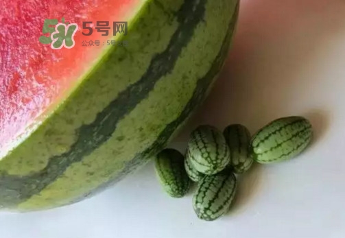 拇指西瓜什么時(shí)候上市？拇指西瓜什么時(shí)候成熟