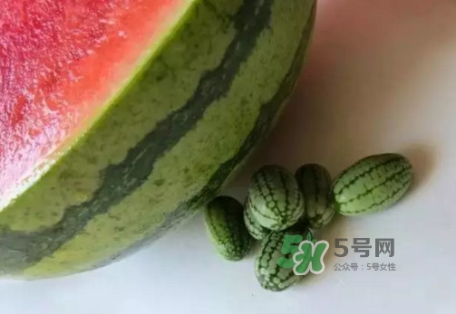 拇指西瓜多少錢一斤？拇指西瓜一口能吃幾個？