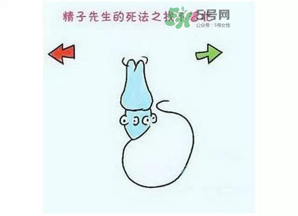 殺精的食物有哪些？吃什么東西殺精？