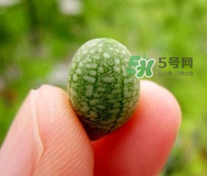 拇指西瓜怎么吃？拇指西瓜好吃嗎