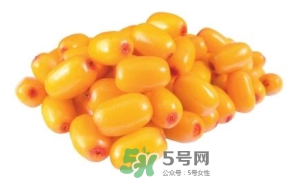 沙棘怎么吃？沙棘果的食用禁忌