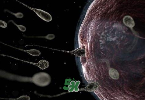 殺精劑避孕可靠嗎？殺精劑避孕要注意什么？