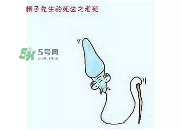 殺精的食物有哪些？吃什么東西殺精？