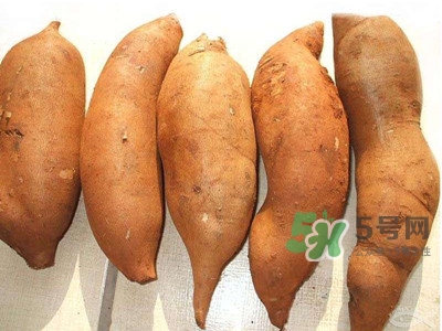 雪蓮果什么時候吃最好？雪蓮果是什么味道？