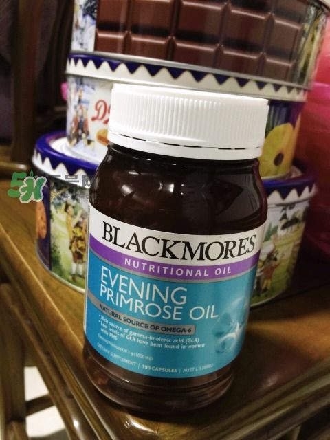 月見草膠囊的功效與作用_月見草膠囊的吃法和禁忌 月見草膠囊的功效與作用_月見草膠囊的吃法和禁忌