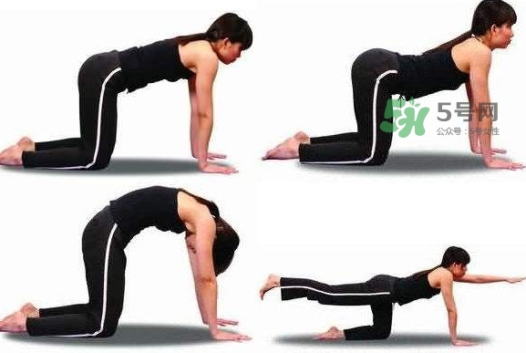 冰激凌線是什么鬼？冰淇淋線怎么鍛煉？