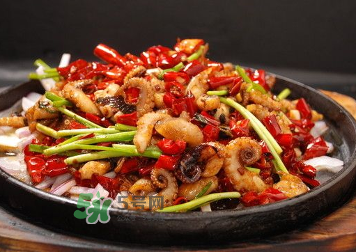 八爪魚煮多久才好？八爪魚需要煮多久？