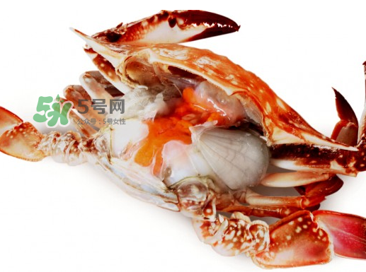 吃梭子蟹會胖嗎？梭子蟹吃了會胖嗎？ 