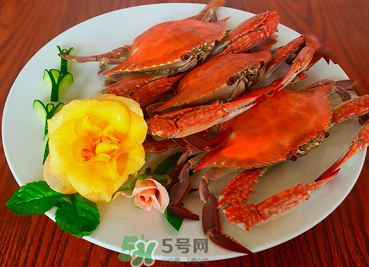 吃梭子蟹會胖嗎？梭子蟹吃了會胖嗎？ 