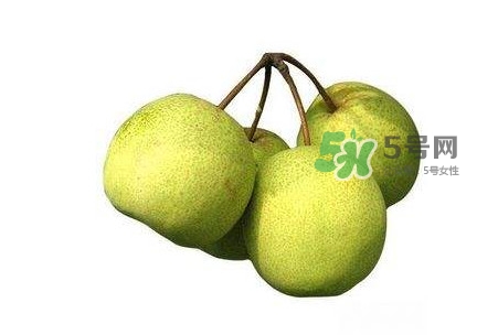 碭山梨好還是皇冠梨好？碭山梨和皇冠梨的區(qū)別