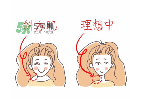 斜方肌怎么消除 斜方肌鍛煉方法 斜方肌怎么消除 斜方肌鍛煉方法