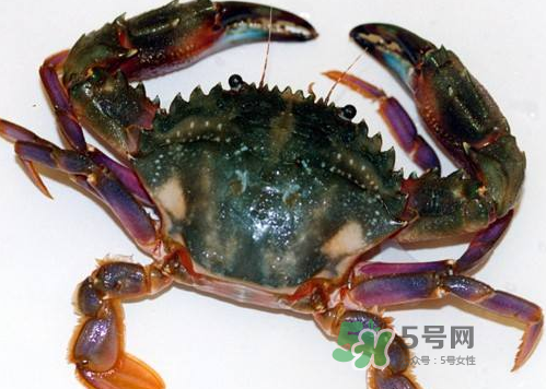 螃蟹腿藍色的是什么？螃蟹腿為什么是藍色？