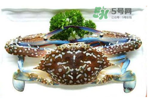 螃蟹腿藍色的是什么？螃蟹腿為什么是藍色？