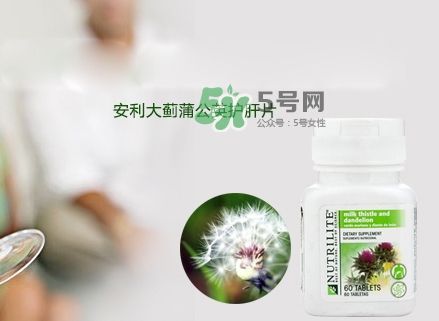 2017護(hù)肝片排行榜_護(hù)肝片哪個牌子好