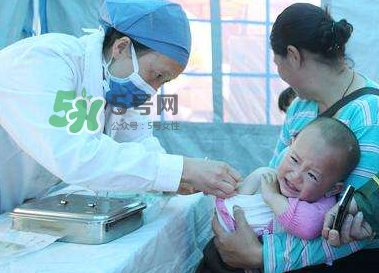 hib疫苗多少錢一針？hib疫苗多少錢？